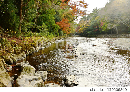 五十鈴川の清流ともみじの風景 伊勢神宮の内宮の紅葉の風景 五十鈴川上流の風景 伊勢志摩観光スポット 五十鈴川の清流ともみじの風景 伊勢神宮の内宮の紅葉の風景 五十鈴川上流の風景 伊勢志摩観光スポット 139306840