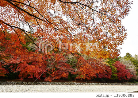 五十鈴川の御手洗場ともみじの風景　伊勢神宮内宮の紅葉の風景　秋の伊勢志摩観光スポット　 139306898