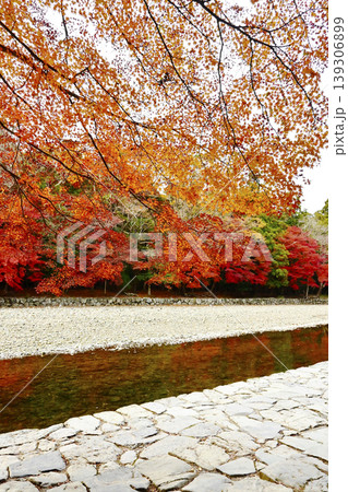 五十鈴川の御手洗場ともみじの風景 伊勢神宮内宮の紅葉の風景 秋の伊勢志摩観光スポット 五十鈴川の御手洗場ともみじの風景 伊勢神宮内宮の紅葉の風景 秋の伊勢志摩観光スポット 139306899