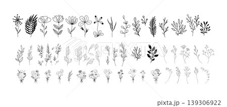 Minimal botanical leaf line elements set, hand drawn floral branches and foliage icons, simple nature decorative vector collection isolated on white background Minimal botanical leaf line elements set, hand drawn floral branches and foliage icons, simple nature decorative vector collection isolated on white background 139306922