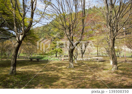 静かな春の公園風景(出早公園・長野) 静かな春の公園風景(出早公園・長野) 139308350