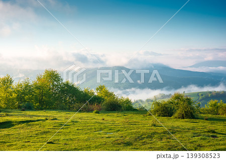 carpathian mountain landscape on a foggy morning. outdoor adventure image for stunning view of meadow in morning light. mountain field and rolling countryside valley 139308523