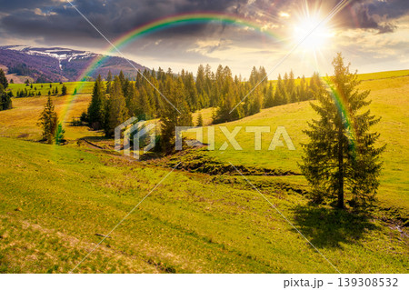sunset over mountain landscape during spring. peaceful countryside scenery with coniferous forest near grassy field. beautiful ridge with snow capped top in the distance under the rainbow 139308532
