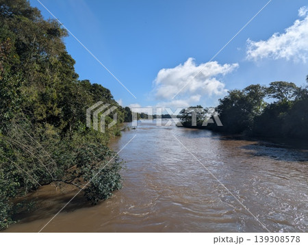 View of the Iguazu River in the Iguazu National Park Reserve in Argentina View of the Iguazu River in the Iguazu National Park Reserve in Argentina 139308578