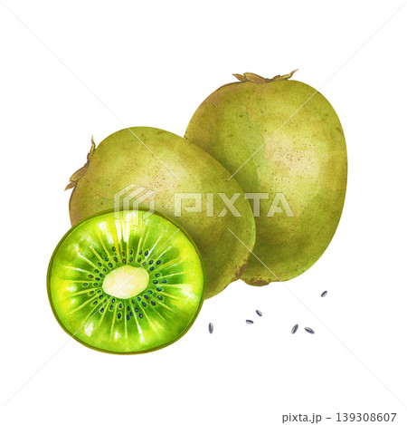 Botanical watercolor illustration with a group of whole kiwi fruits and a vibrant cross-section slice. The composition is isolated on a white background, ideal for organic food packaging, juice labels Botanical watercolor illustration with a group of whole kiwi fruits and a vibrant cross-section slice. The composition is isolated on a white background, ideal for organic food packaging, juice labels 139308607