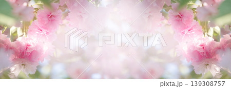 Sakura blossom, flowers in spring garden, springtime floral banner background with pink cherry bloom Sakura blossom, flowers in spring garden, springtime floral banner background with pink cherry bloom 139308757