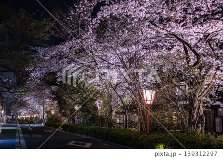 夜桜と街灯に照らされる桜 夜桜と街灯に照らされる桜 139312297