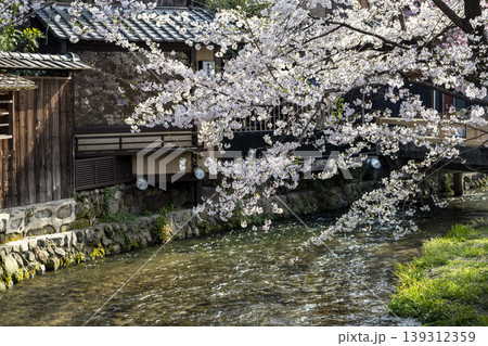 桜のある風景 桜のある風景 139312359