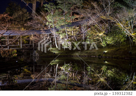 高台寺庭園の夜景 高台寺庭園の夜景 139312382