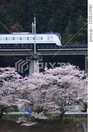 眼下に咲き誇る桜に見送られて早朝の中央東線を走行するE353系電車_2026/4/11撮影 眼下に咲き誇る桜に見送られて早朝の中央東線を走行するE353系電車_2026/4/11撮影 139312692