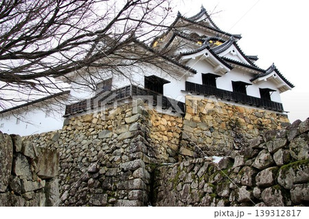 彦根八景・琵琶湖八景に選定される… 国宝天守『彦根城』 彦根八景・琵琶湖八景に選定される… 国宝天守『彦根城』 139312817