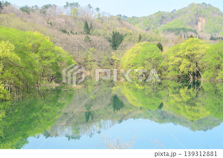 様々な新緑に染まる水鏡美しい和賀川 水没林 岩手県 様々な新緑に染まる水鏡美しい和賀川 水没林 岩手県 139312881