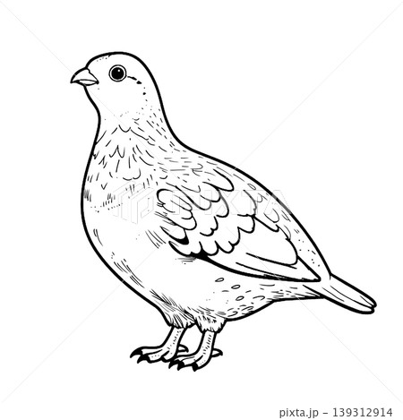 横を向いた鳥 横を向いた鳥 139312914