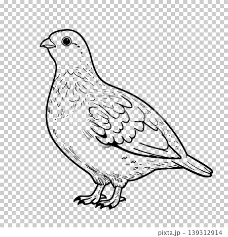 横を向いた鳥 横を向いた鳥 139312914