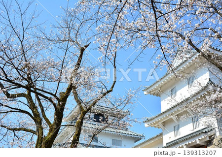 長岡城の桜 長岡城の桜 139313207