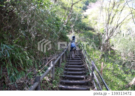 高尾山　稲荷山コース 139313472
