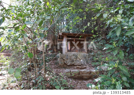 高尾山　稲荷山コース 139313485