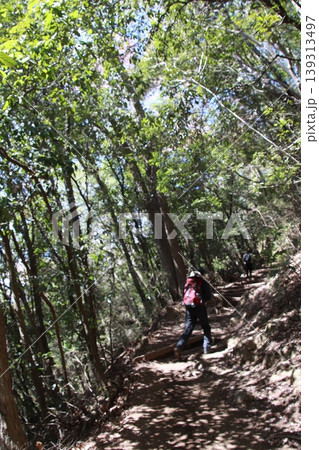 高尾山　稲荷山コース 139313497
