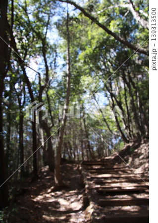 高尾山 稲荷山コース 高尾山 稲荷山コース 139313500