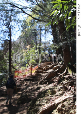 高尾山 稲荷山コース 高尾山 稲荷山コース 139313502