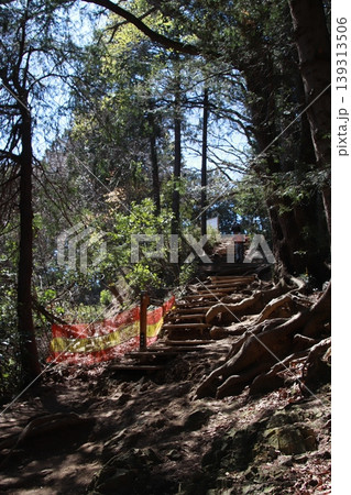 高尾山　稲荷山コース 139313506