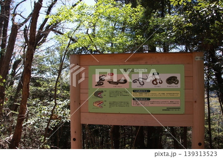 高尾山 稲荷山コース 高尾山 稲荷山コース 139313523