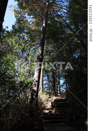 高尾山 稲荷山コース 高尾山 稲荷山コース 139313541