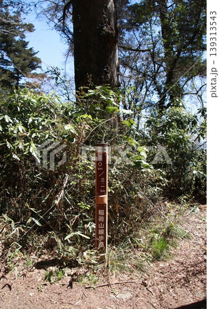 高尾山　稲荷山コース 139313543
