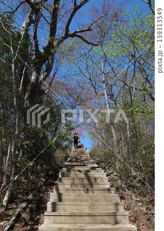 高尾山　稲荷山コース 139313549