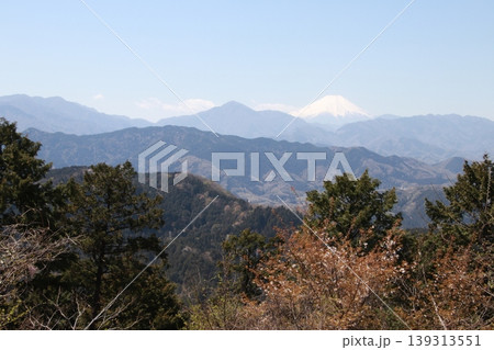 高尾山 稲荷山コース 高尾山 稲荷山コース 139313551