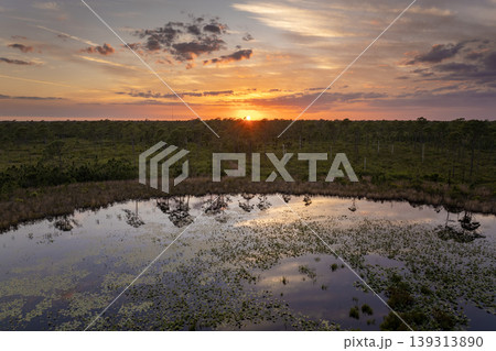 Evening landscape over forest lake water in southern tropical wetlands. Amazing Florida nature at sunset Evening landscape over forest lake water in southern tropical wetlands. Amazing Florida nature at sunset 139313890