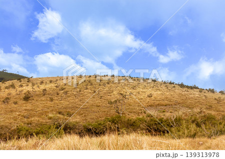 Horton Plains At an altitude of 2,100 meters above sea level and was declared a UNESCO World Heritage Site Horton Plains At an altitude of 2,100 meters above sea level and was declared a UNESCO World Heritage Site 139313978