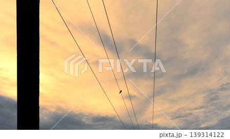 Parallel power lines meets in the horizon evening photograph Parallel power lines meets in the horizon evening photograph 139314122