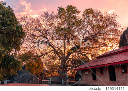 Yatagala Raja Maha Viharaya beautiful evening sunset photography Yatagala Raja Maha Viharaya beautiful evening sunset photography 139314151