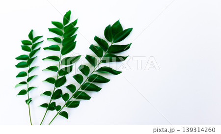 Bunch of fresh Curry Leaves on a white background vertical Bunch of fresh Curry Leaves on a white background vertical 139314260