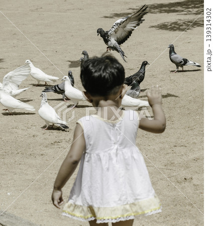 small kid playing with pigeons 139314302
