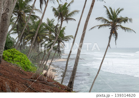 Mirissa Coconut tree hill is one of the best tourist destinations in the southern province, side ocean horizon view 139314620