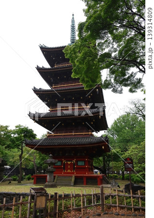 上野動物園の敷地内に位置する国指定重要文化財「上野五重塔」 139314809