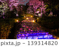 岐阜公園ぎふ灯り物語の夜を彩る幻想的なライトアップ階段風景 139314820