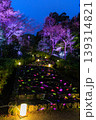 岐阜公園ぎふ灯り物語の夜を彩る幻想的なライトアップ階段風景 139314821