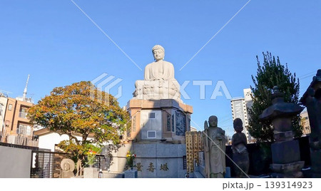 東京、亀戸七福神・常光寺の大仏 東京、亀戸七福神・常光寺の大仏 139314923