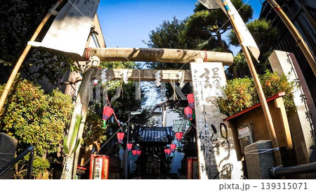 東京、亀戸石井神社、おしゃもじ様の鳥居と境内 東京、亀戸石井神社、おしゃもじ様の鳥居と境内 139315071