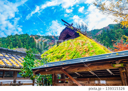 苔生す茅葺き屋根の古民家と紅葉 139315326