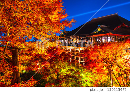 清水寺の舞台と紅葉のライトアップ 139315473
