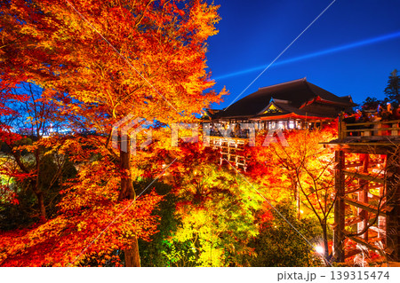 清水寺の舞台と紅葉のライトアップ 清水寺の舞台と紅葉のライトアップ 139315474