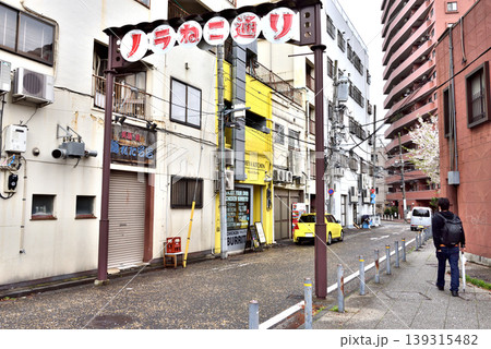 雨上がりの横浜市中区のノラねこ通りを歩く男性 139315482