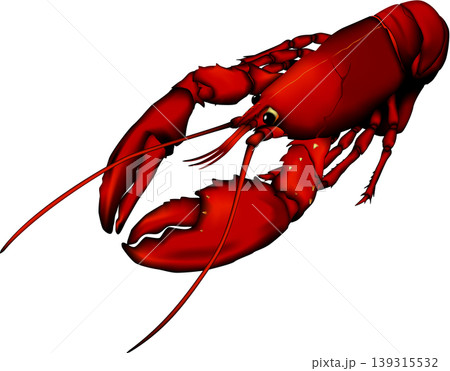甲殻類イラスト 「ロブスター(オマール海老)」 ベクター形式 白背景単体 甲殻類イラスト 「ロブスター(オマール海老)」 ベクター形式 白背景単体 139315532