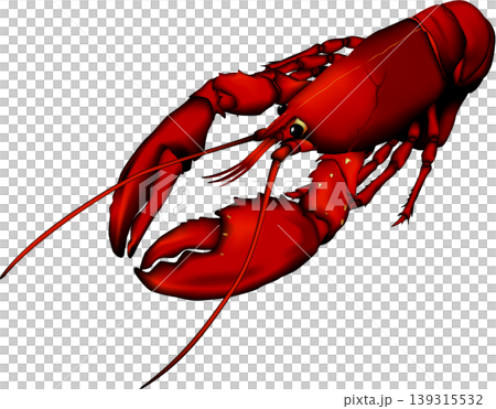 甲殻類イラスト 「ロブスター(オマール海老)」 ベクター形式 白背景単体 甲殻類イラスト 「ロブスター(オマール海老)」 ベクター形式 白背景単体 139315532