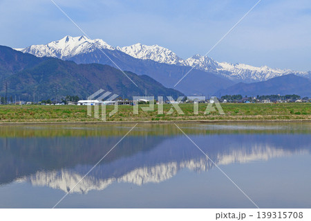 山麓から望む春の北アルプス後立山連峰 山麓から望む春の北アルプス後立山連峰 139315708