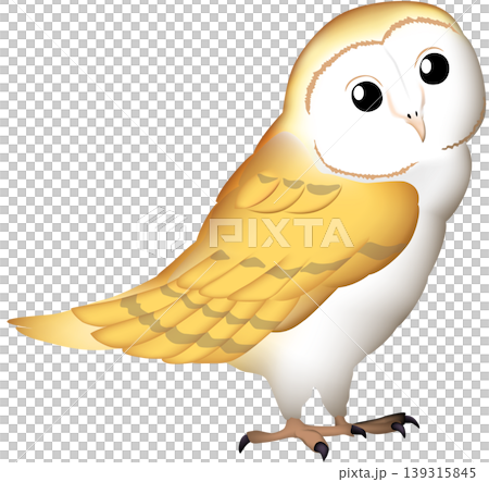 かわいい野鳥イラスト　「メンフクロウ」　白背景・単体、ベクター形式 139315845